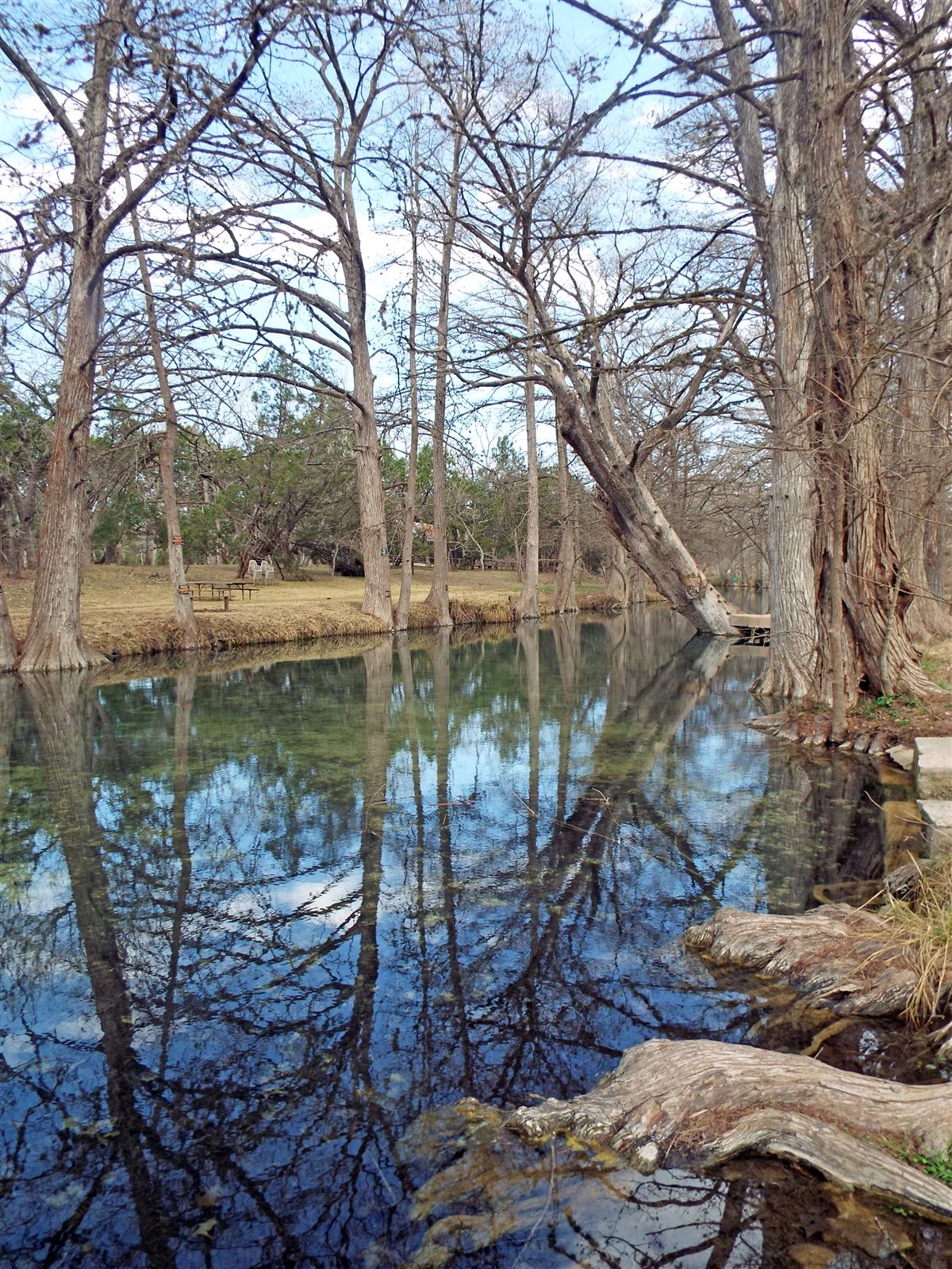 Swimming hole on Cypress Creek in Blue Hole Regional Park, Wimberley, Hays County, Texas