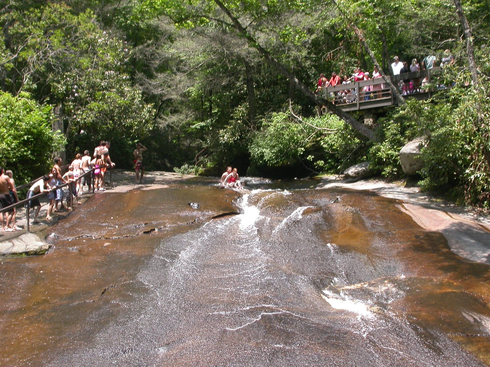 Natural water and forest landscape in North Carolina